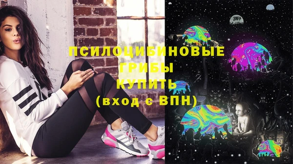 mix Богородск