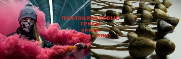 бутират Богородицк