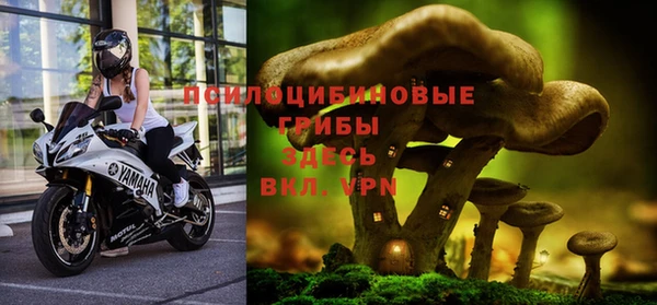 mix Богородск