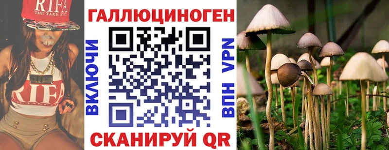 blacksprut ТОР  цена   Короча  Псилоцибиновые грибы прущие грибы 