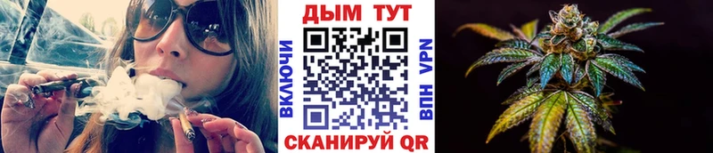 Конопля индика  Короча 